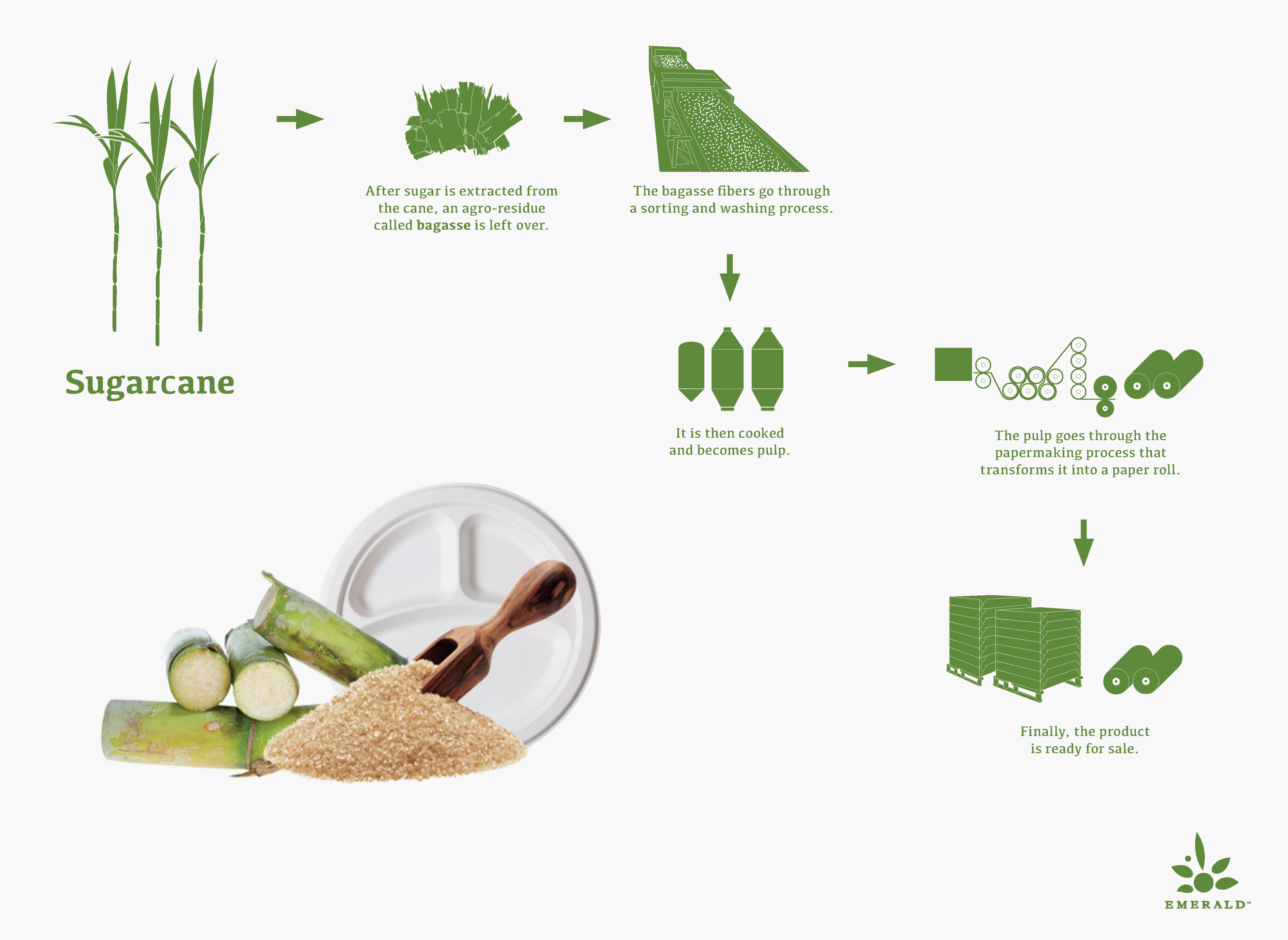 What Is Tree-Free™? What Is Tree-Free™?