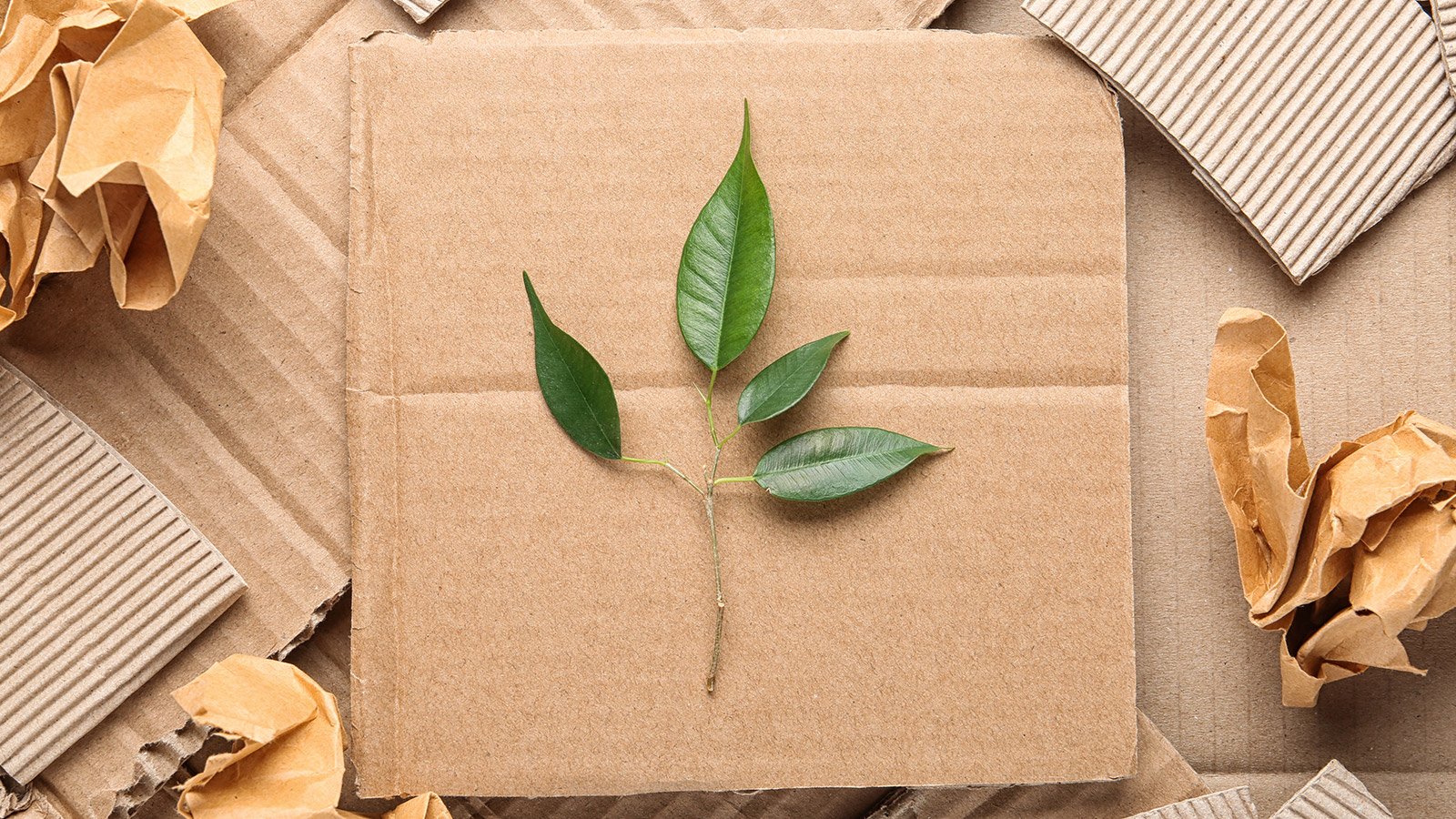 What Materials Are Best for Sustainable Packaging?