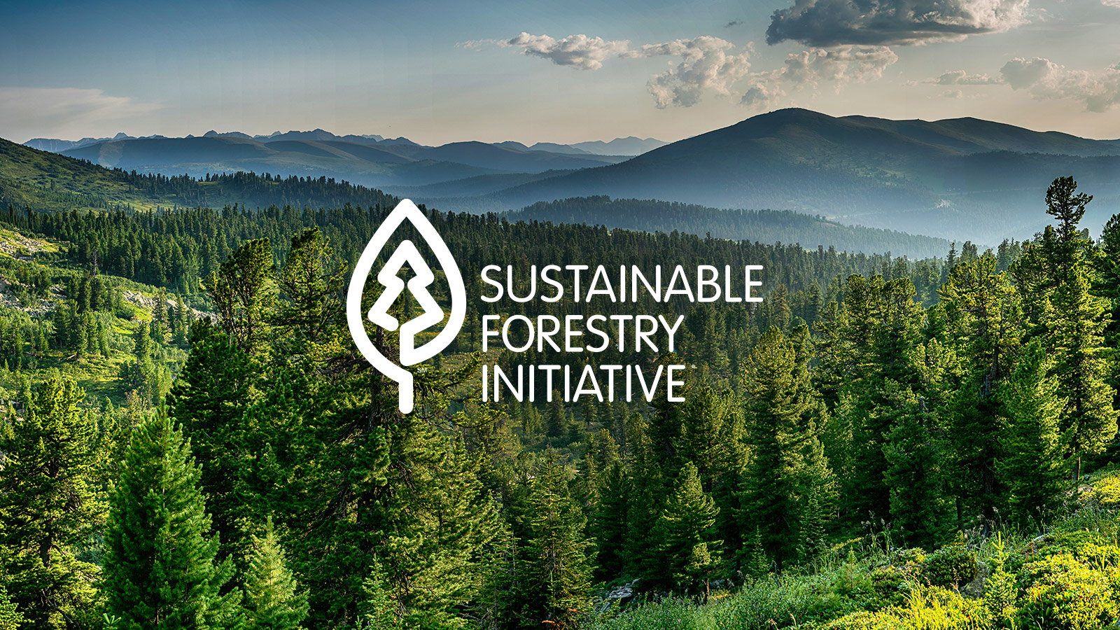 Sustainable Forestry Initiative logo on top of sunny forest landscape